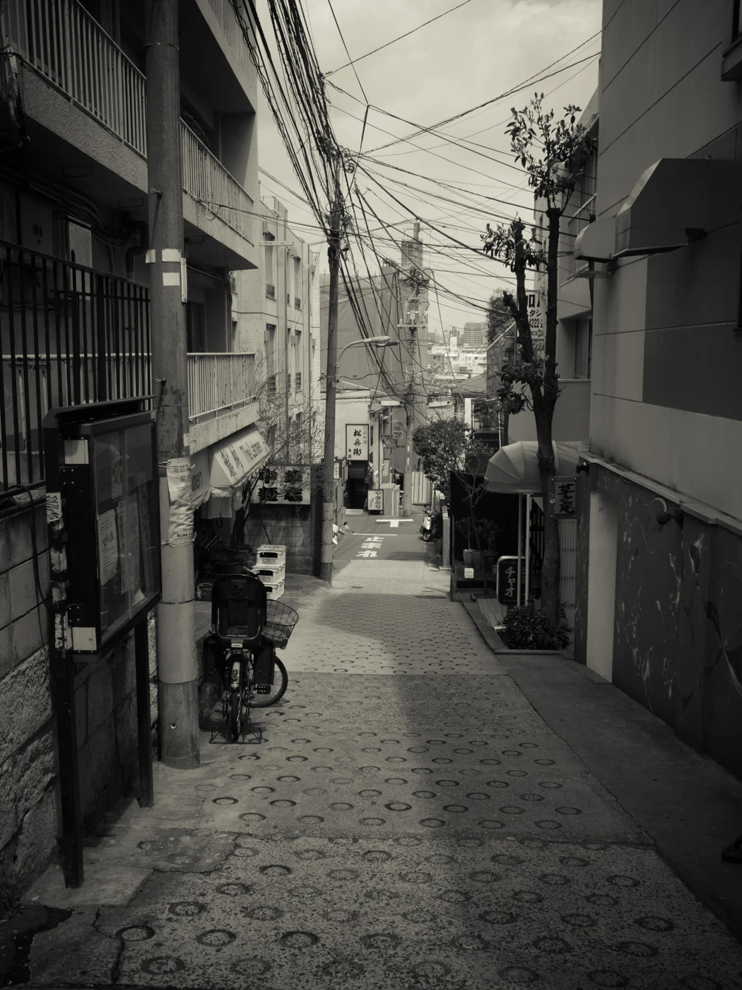 神楽坂に住むということ その2
