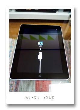 結局、iPadを買ってきた
