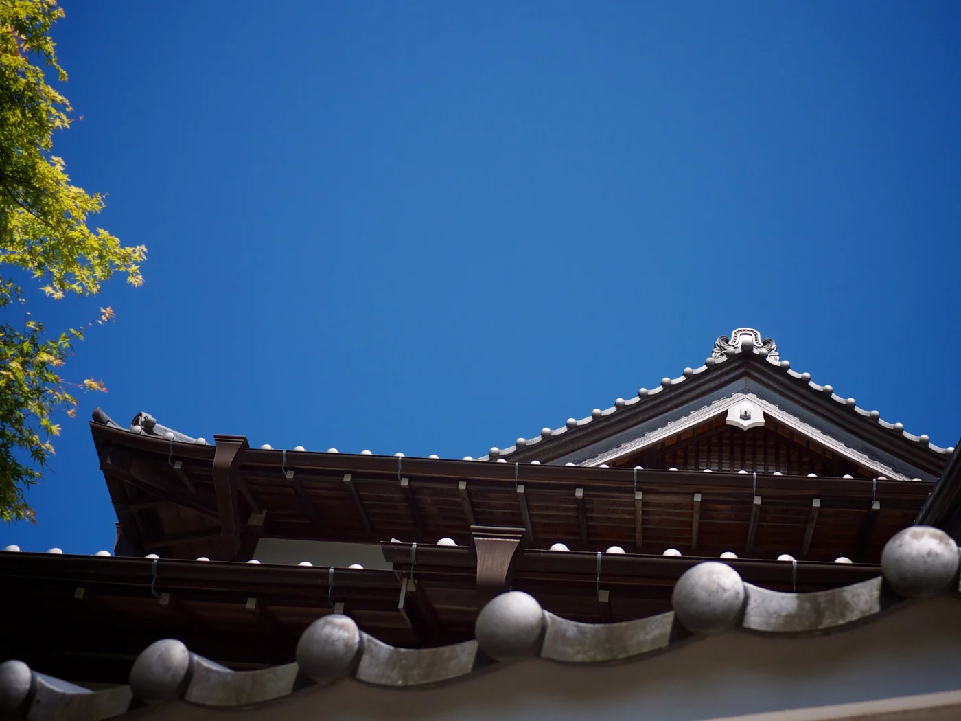屋根