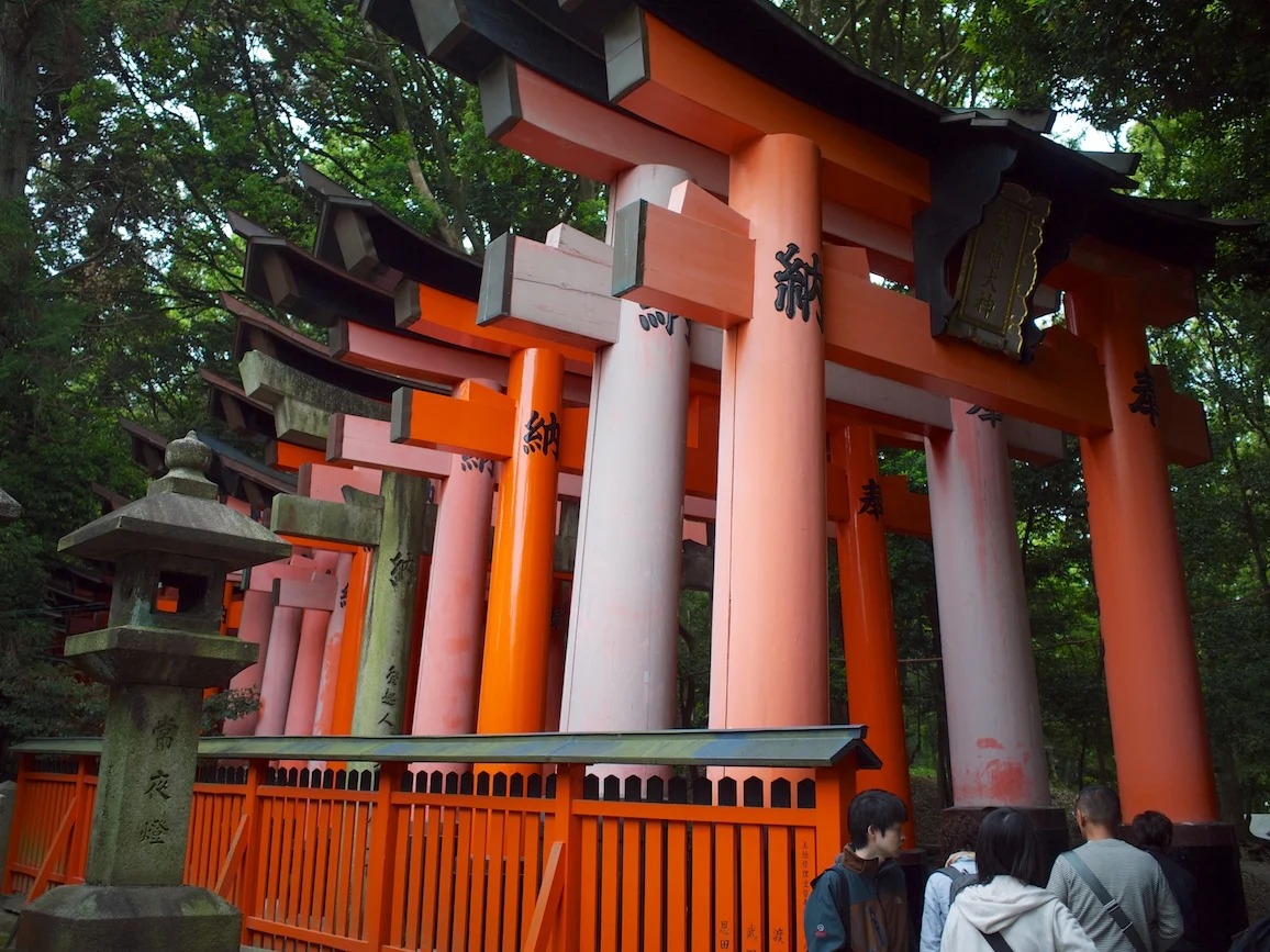 きた!これだ!