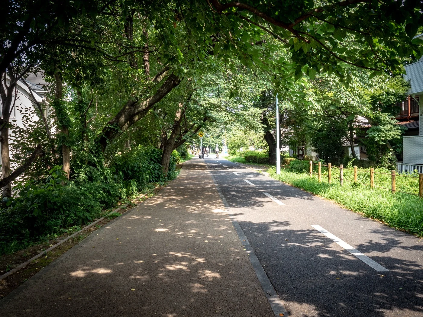 多摩湖自転車道