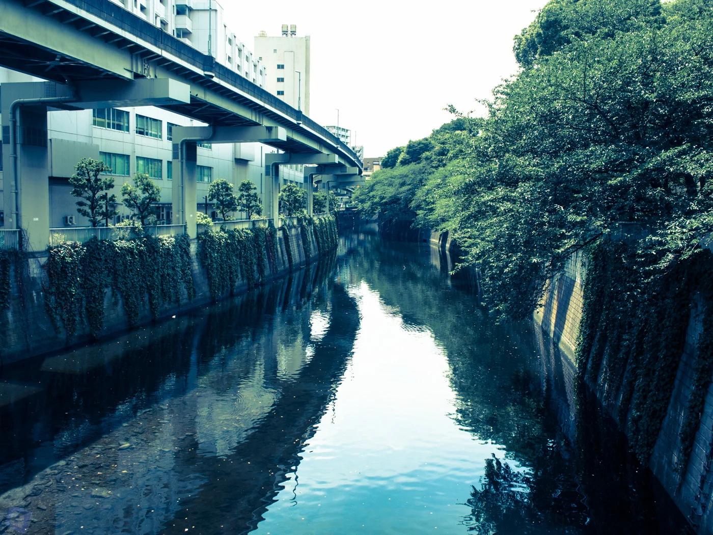 神楽坂に住むこと その5 – 新居は運命的に見つかった