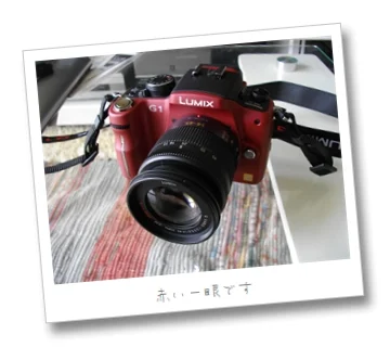 一眼デビュー! LUMIX DMC-G1W買っちゃいました