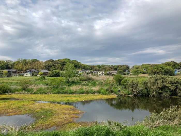 臭み内なのが川に浮いてる(?)