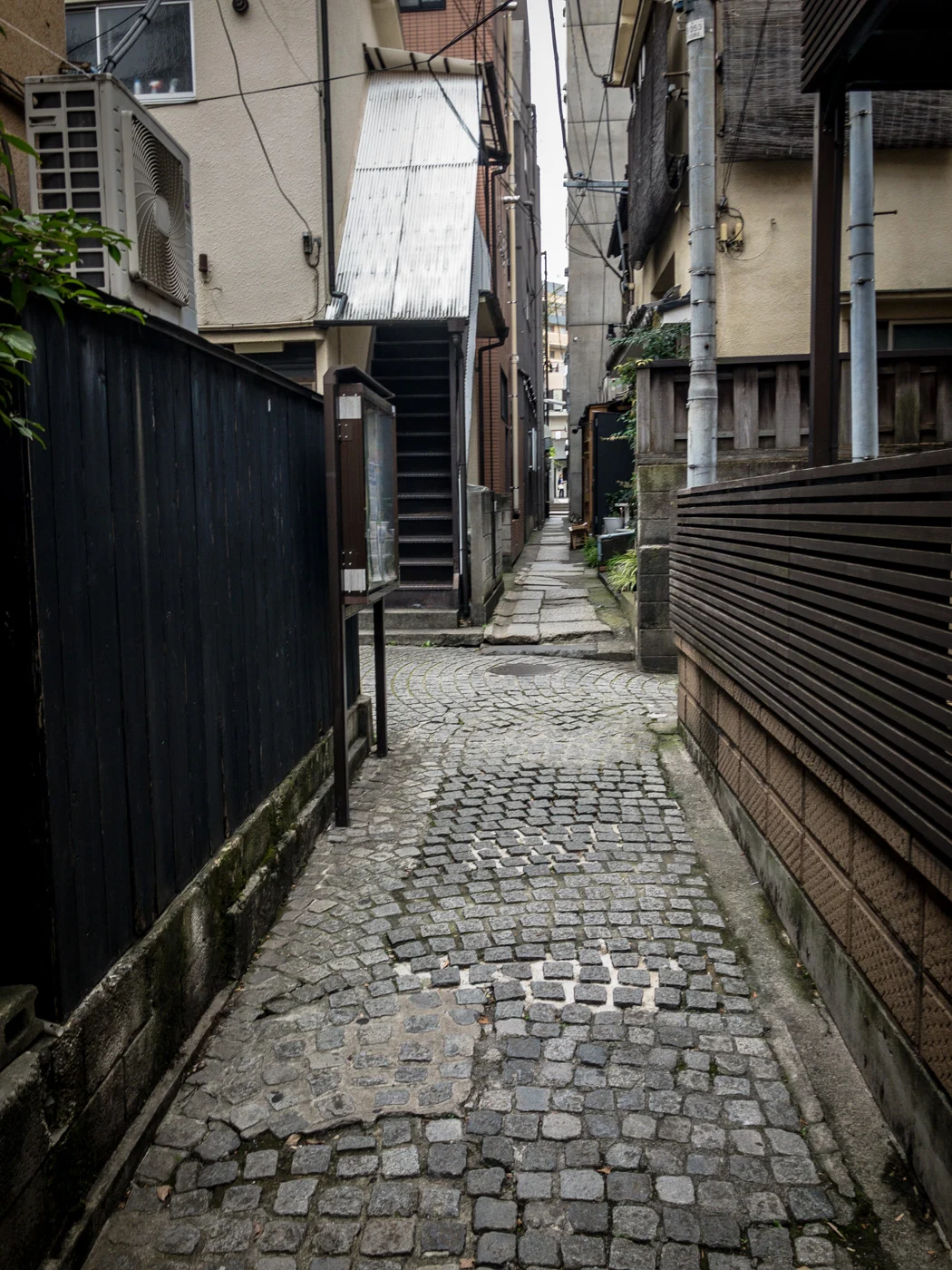 この十字路までワンコが走ってた