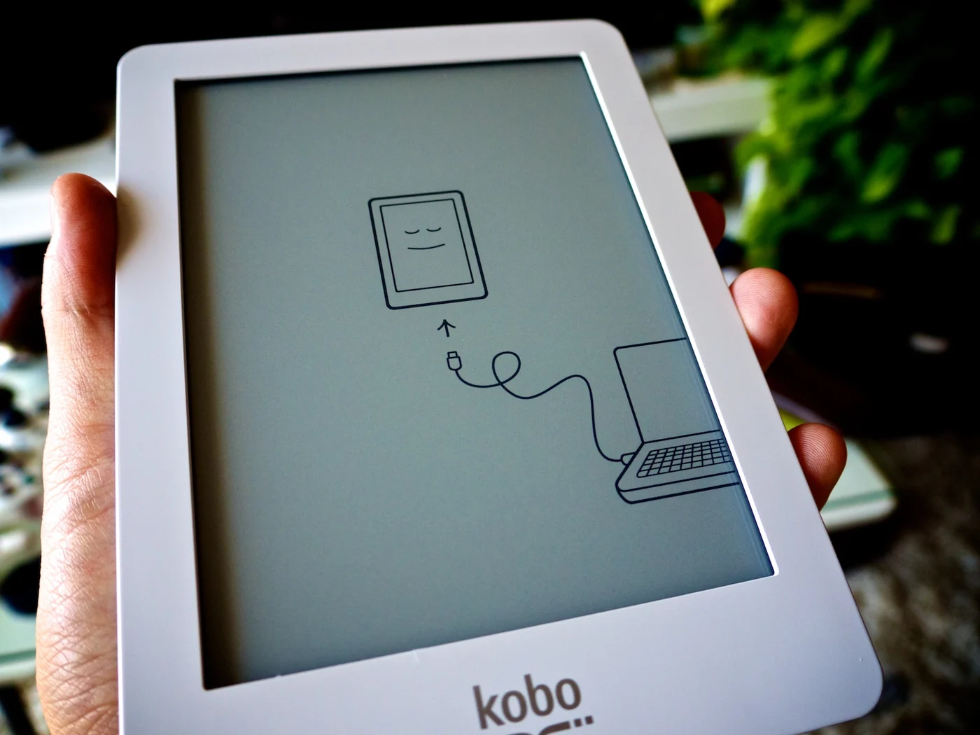 koboのカスタムファームを入れた