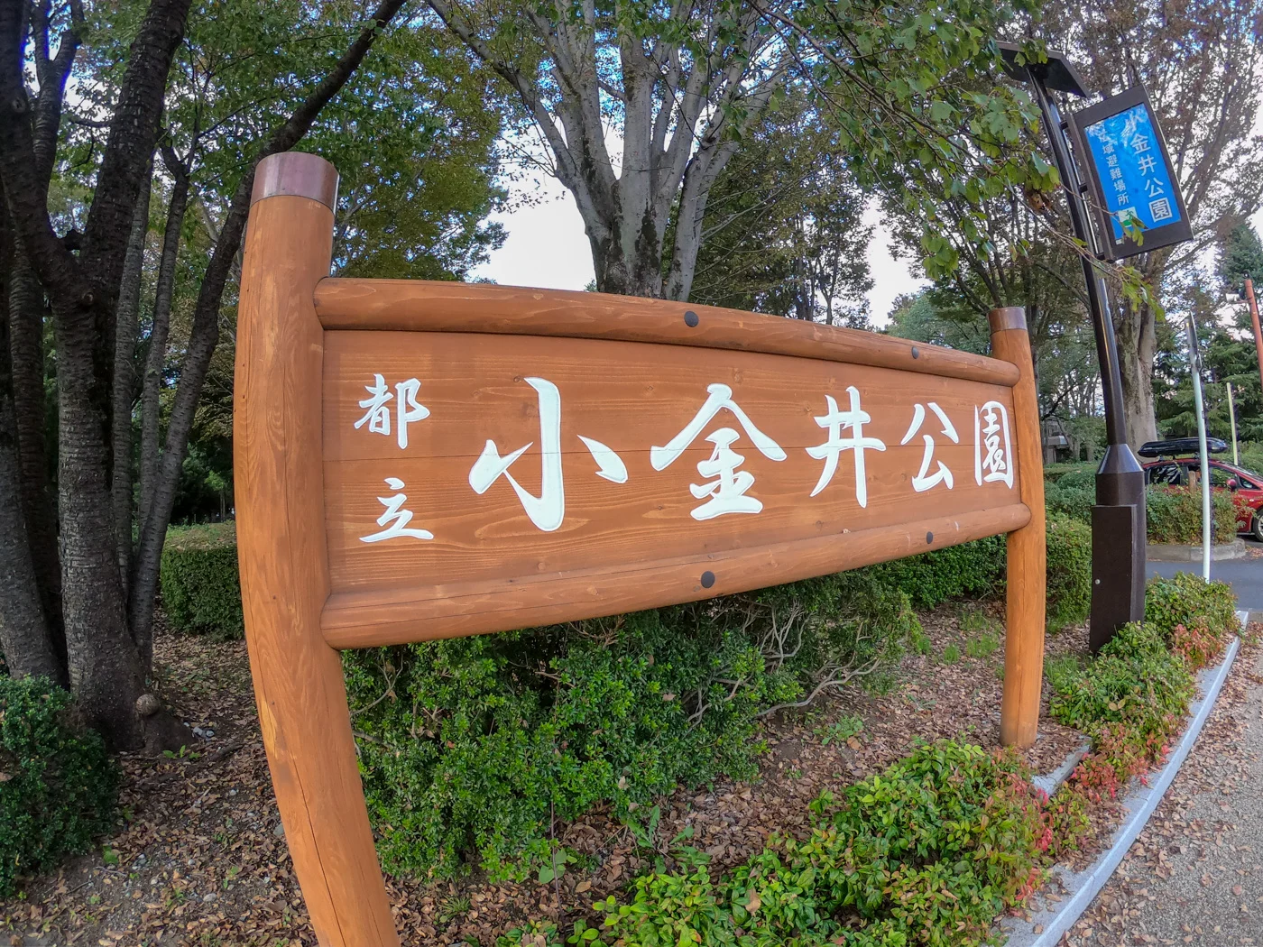 ここが小金井公園か