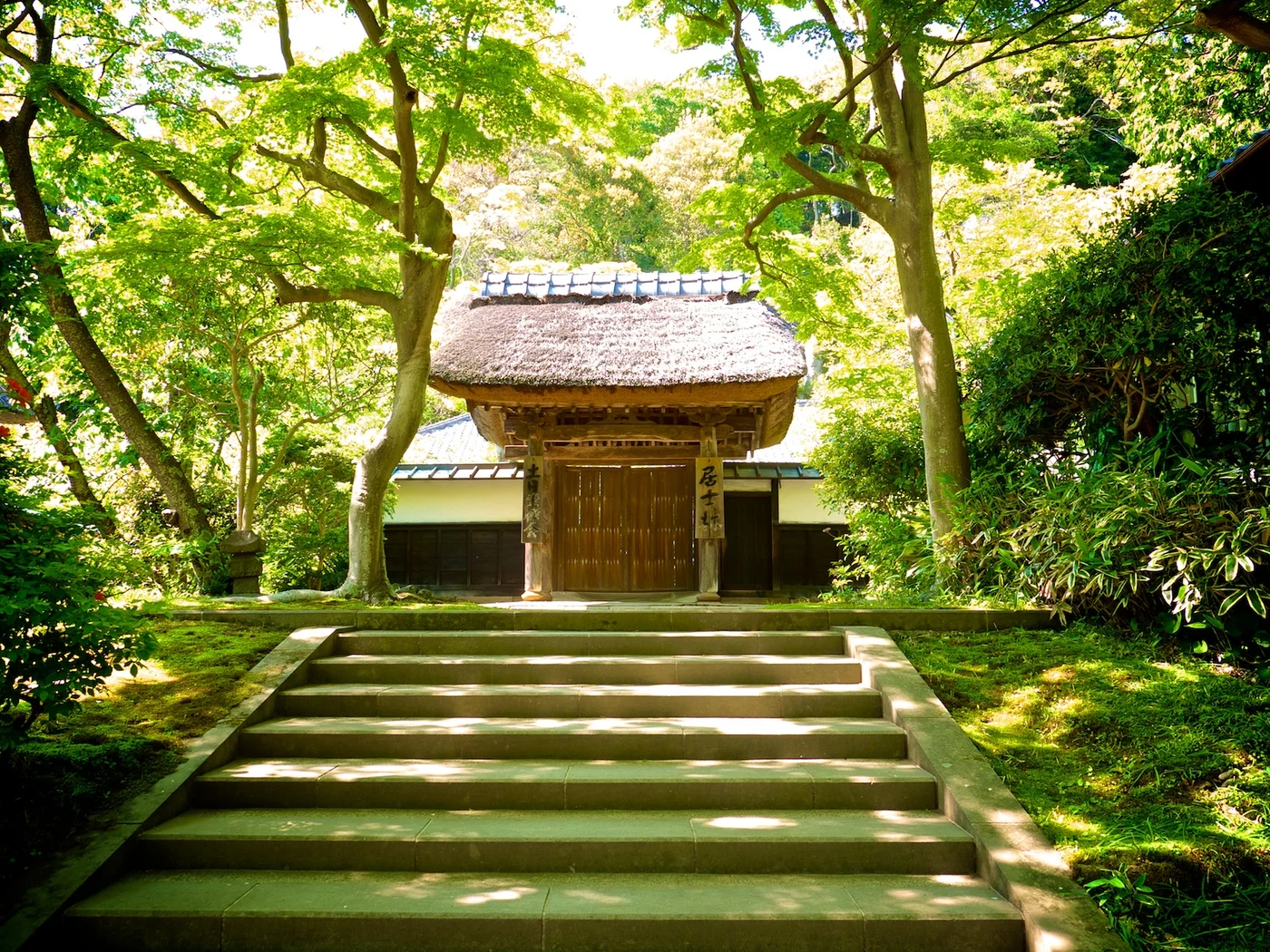 武士がいそう