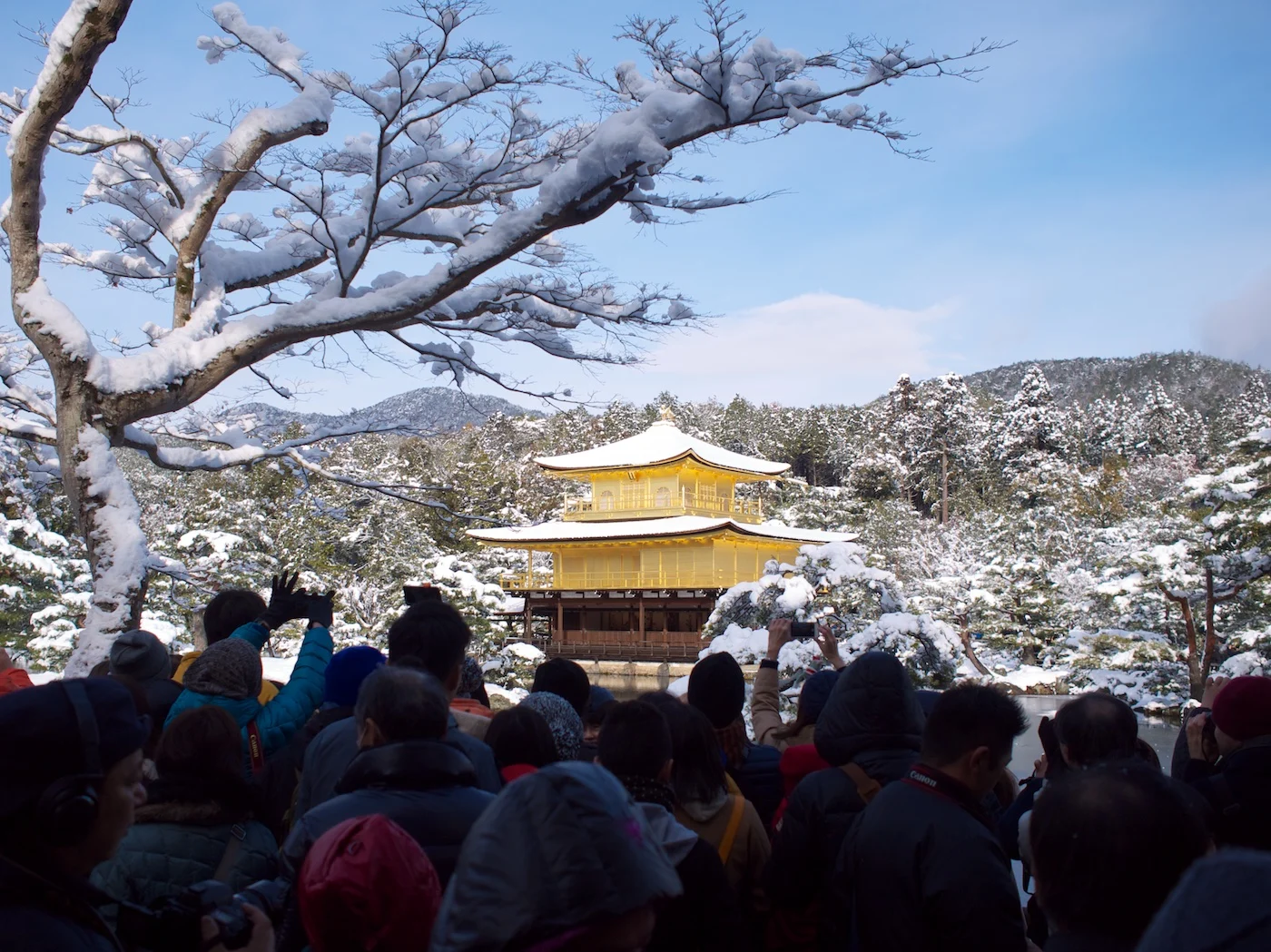 大雪の京都に行って写真撮ってきた その1