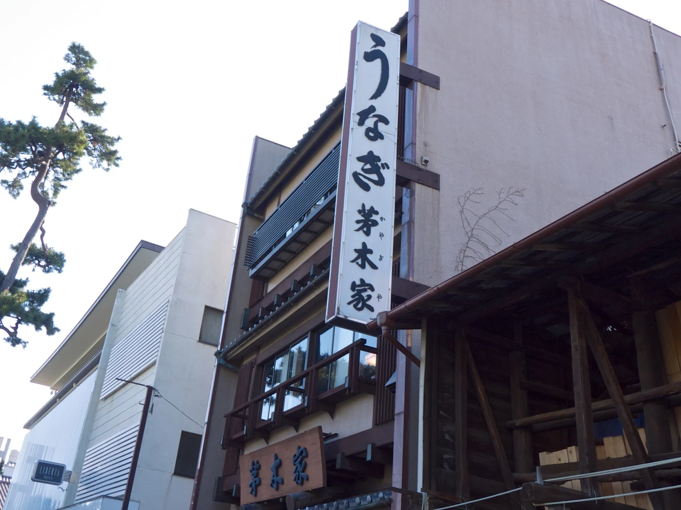茅木家