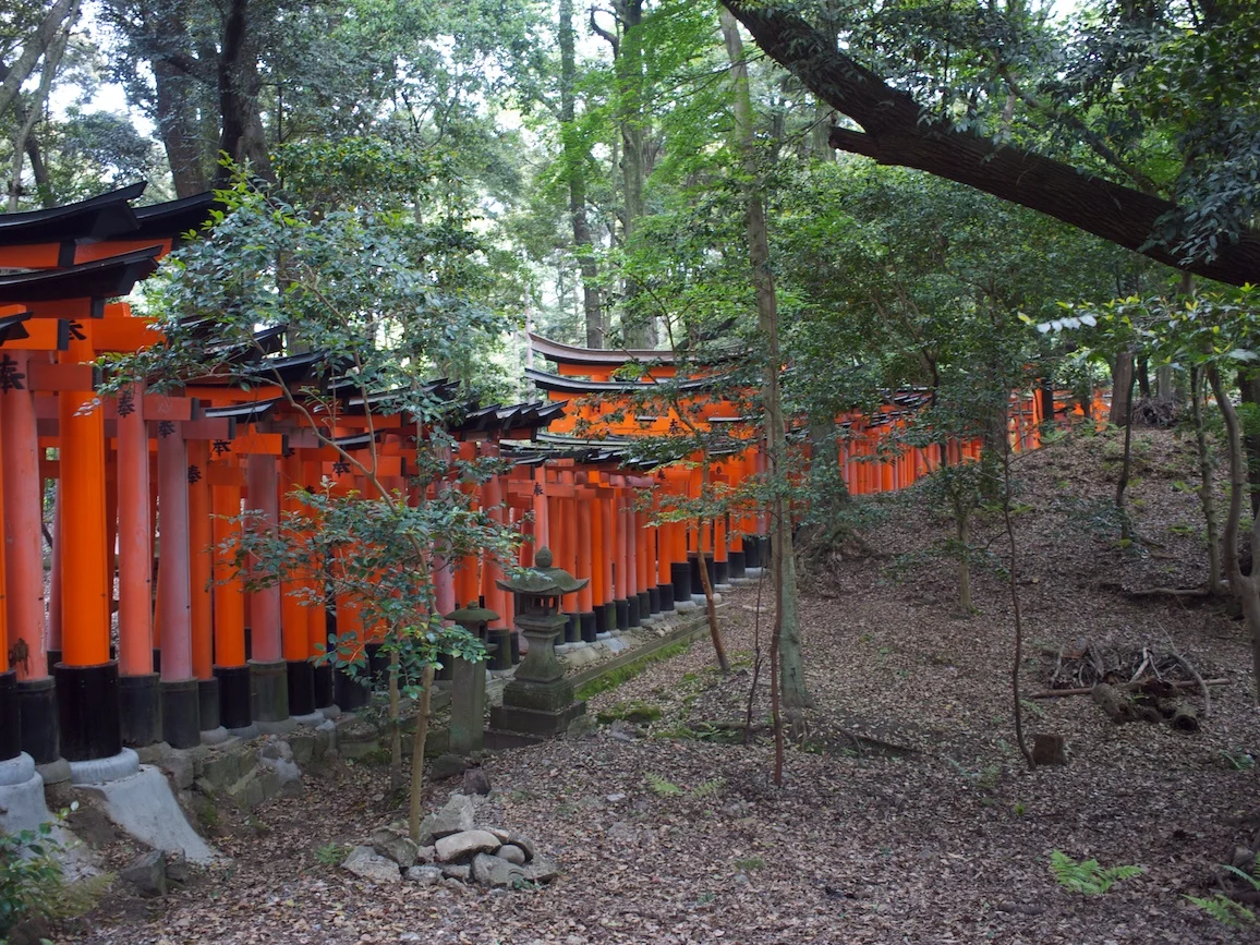 しかし、ならんどる