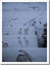 なんという大雪