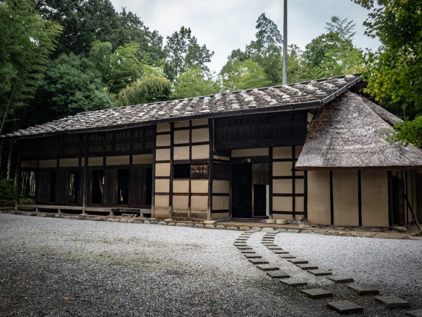 天井高い