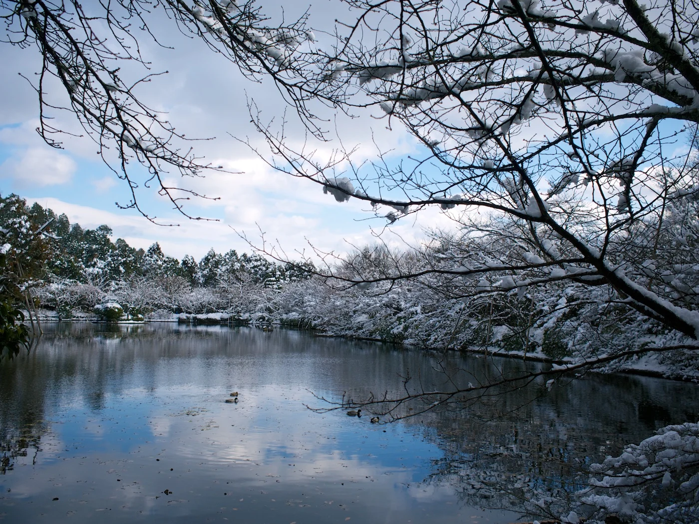 どこの雪国の湖なのか