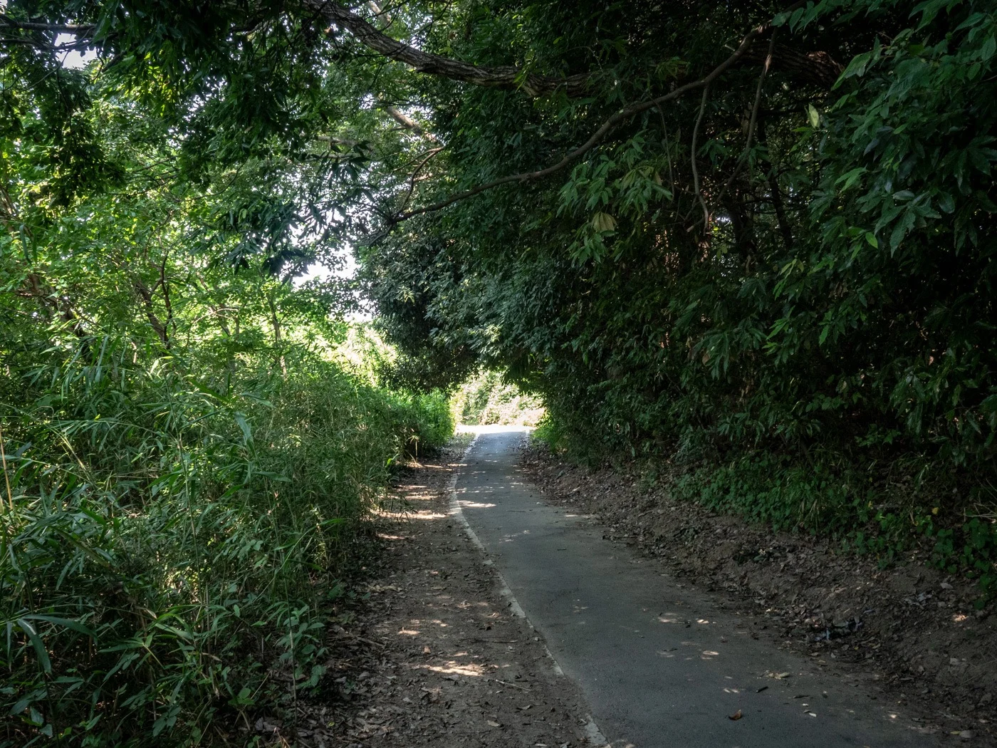 田舎道